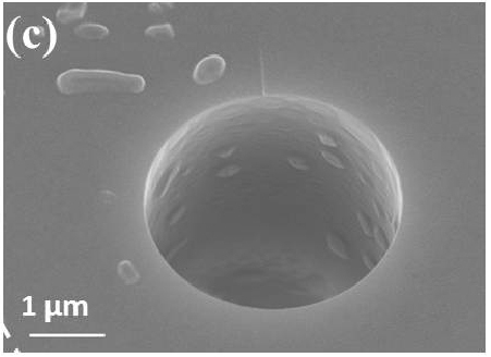 FORTH/ICE-HT publication was highlighted as a “Spotlight in Optics”