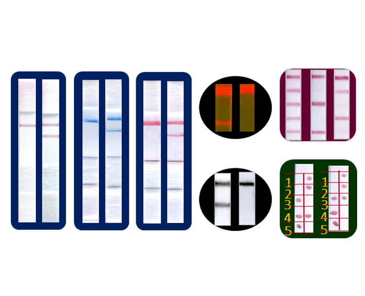 Nanoparticle-based biosensors for DNA/RNA detection