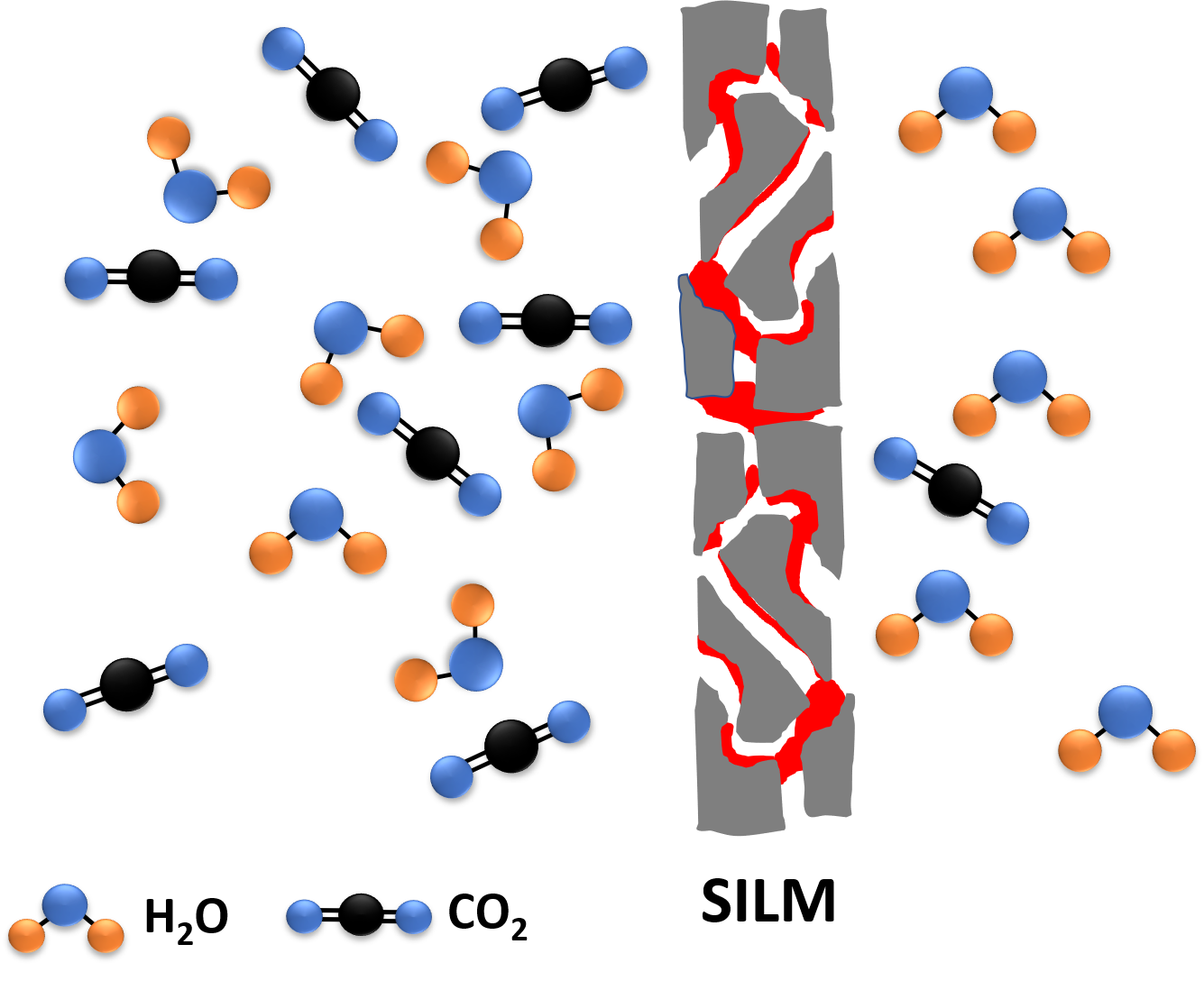 Supported ionic liquid membranes with exceptional selectivity and permeability for dehumidification applications