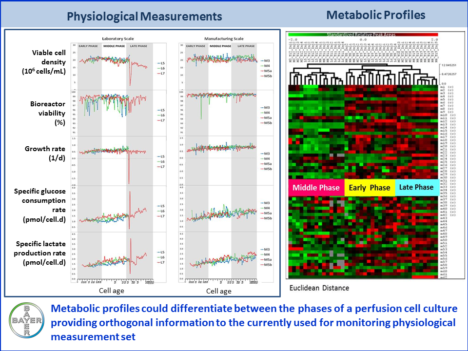 Graphical abstract of the publication entitled Metabolic profiling reveals that time related physiological changes in mammalian cell perfusion cultures are bioreactor scale independent
