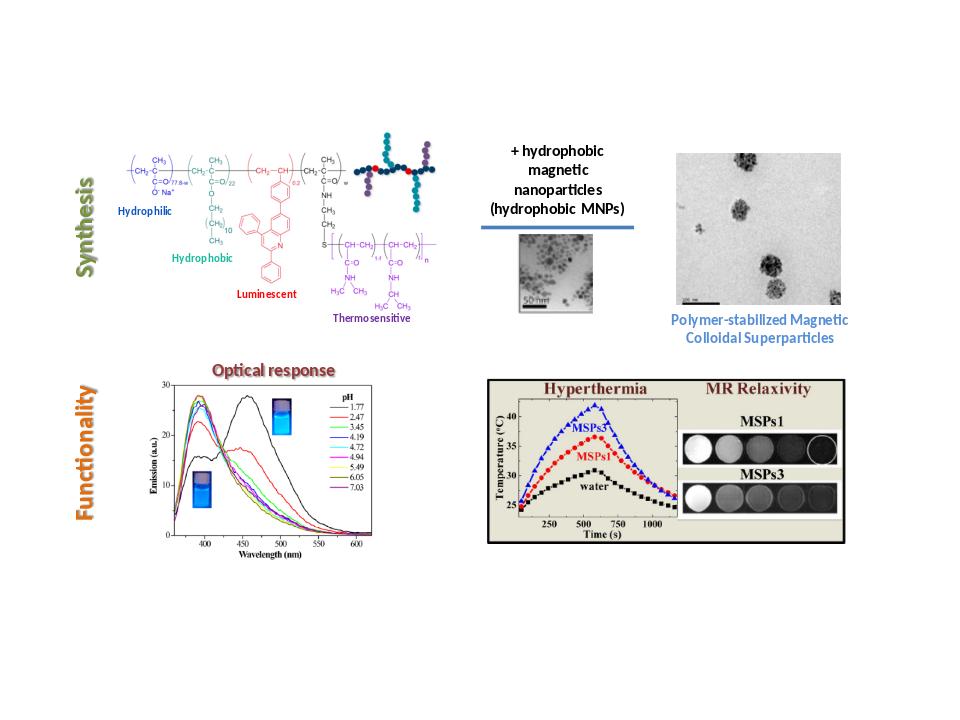 Graphical abstract of the publication entitled Multifunctional Polymeric Platform of Magnetic Ferrite Colloidal Superparticles for Luminescence- Imaging- and Hyperthermia Applications