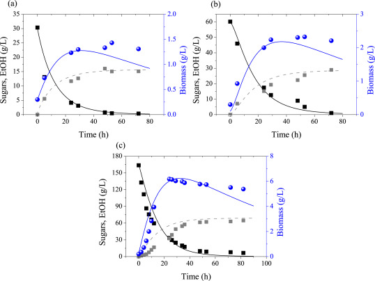 Graphical abstract of the publication entitled Evaluation of the non-conventional yeast strain Wickerhamomyces anomalus (Pichia anomala) X19 for enhanced bioethanol production using date palm sap as renewable feedstock