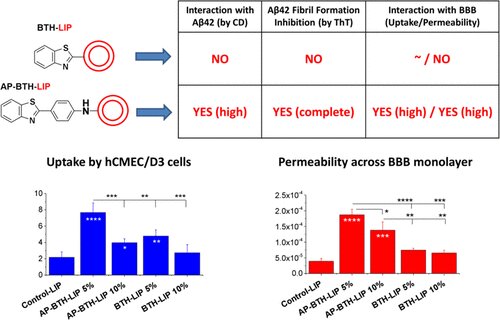 Graphical abstract of the publication entitled Liposomes Decorated with 2-(4′-Aminophenyl)benzothiazole Effectively Inhibit Aβ1-42Fibril Formation and Exhibit in Vitro Brain-Targeting Potential