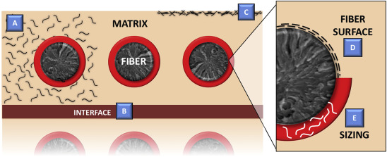 Graphical abstract of the publication entitled Graphene and related materials in hierarchical fiber composites: Production techniques and key industrial benefits
