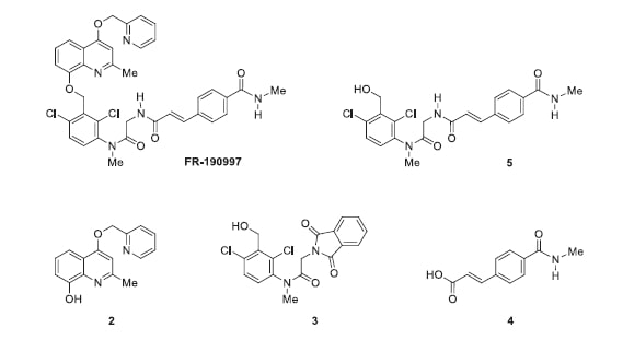 Graphical abstract of the publication entitled Potent antiproliferative activity of bradykinin B2 receptor selective agonist FR-190997 and analogue structures thereof: A paradox resolved?