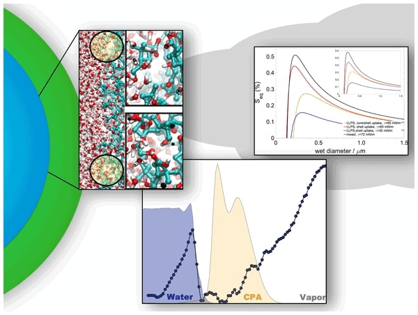 Graphical abstract of the publication entitled 'Molecular-scale description of interfacial mass transfer in phase-separated aqueous secondary organic aerosol'