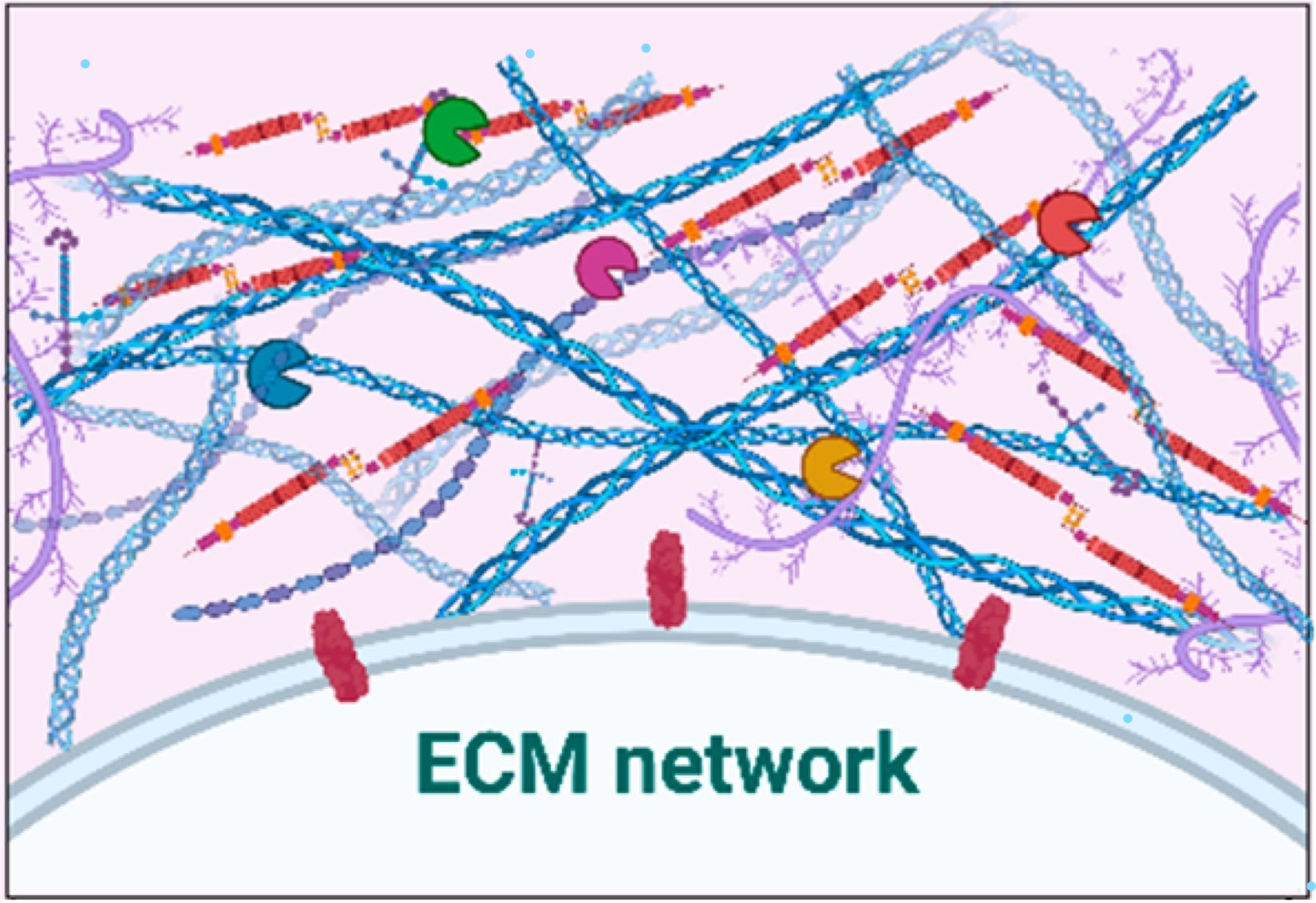Graphical abstract of the publication entitled Matrix effectors and cancer