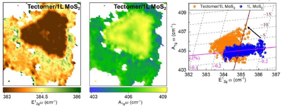 Graphical abstract of the publication entitled Probing the interaction between 2D materials and oligoglycine tectomers