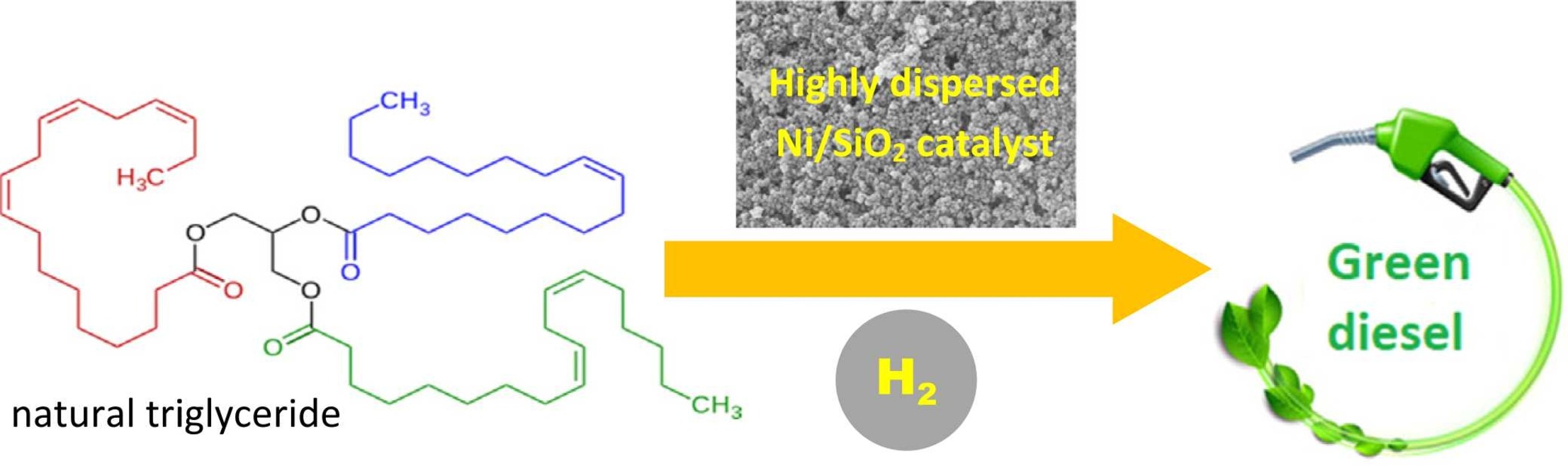 Graphical abstract of the publication entitled Development of nickel catalysts supported on silica for green diesel production