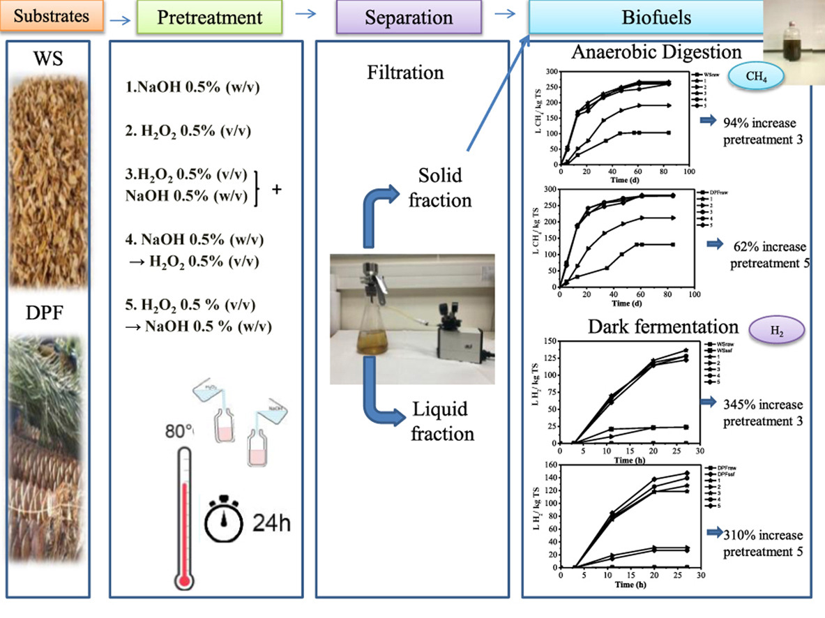 Graphical abstract of the publication entitled The impact of alkaline/hydrogen peroxide pretreatment on hydrogen and methane production from biomasses of different origin: The case of willow sawdust and date palm fibers