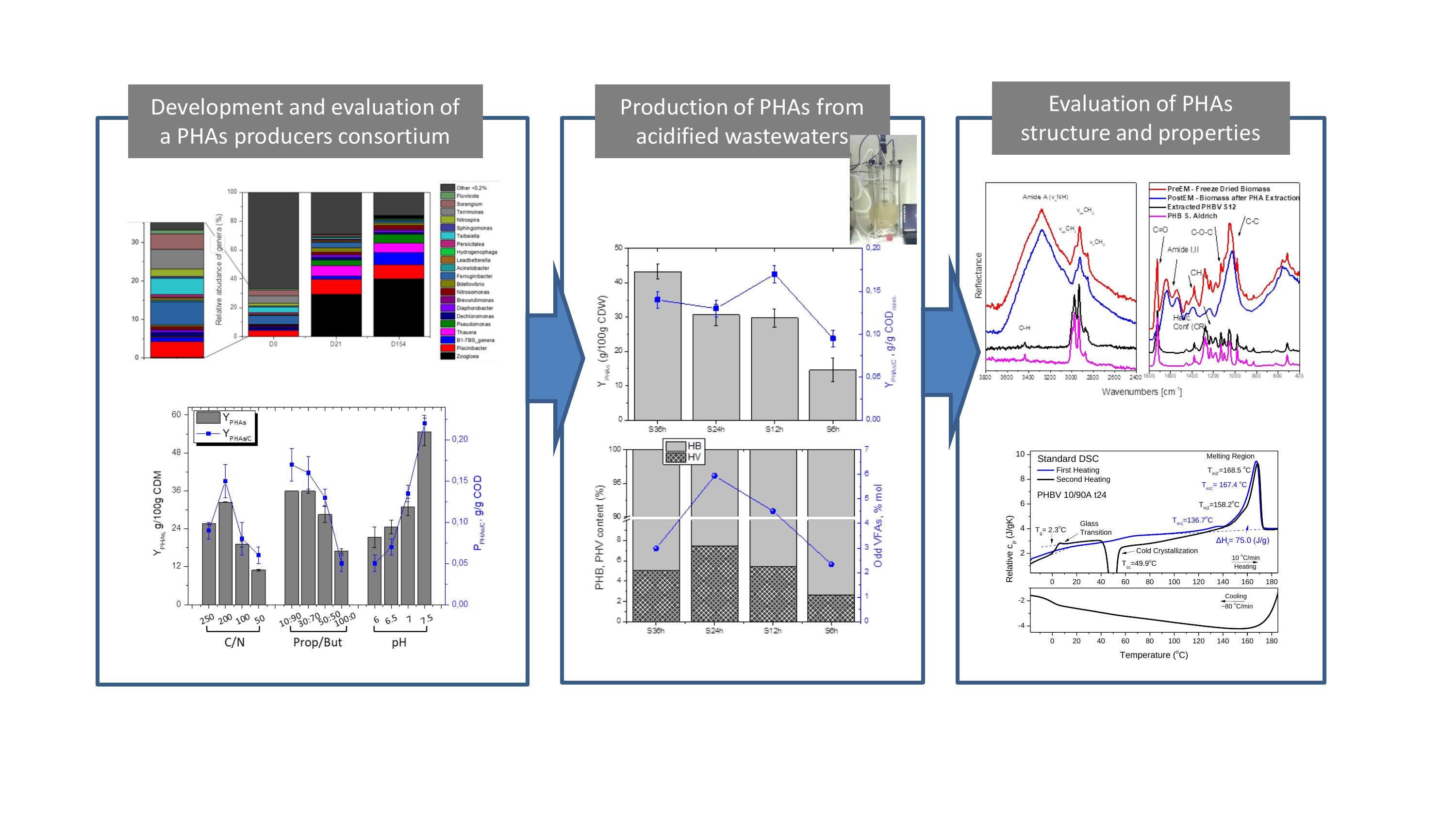 Graphical abstract of the publication entitled Production efficiency and properties of poly(3hydroxybutyrate-co-3hydroxyvalerate) generated via a robust bacterial consortium dominated by Zoogloea sp. using acidified discarded fruit juices as carbon source