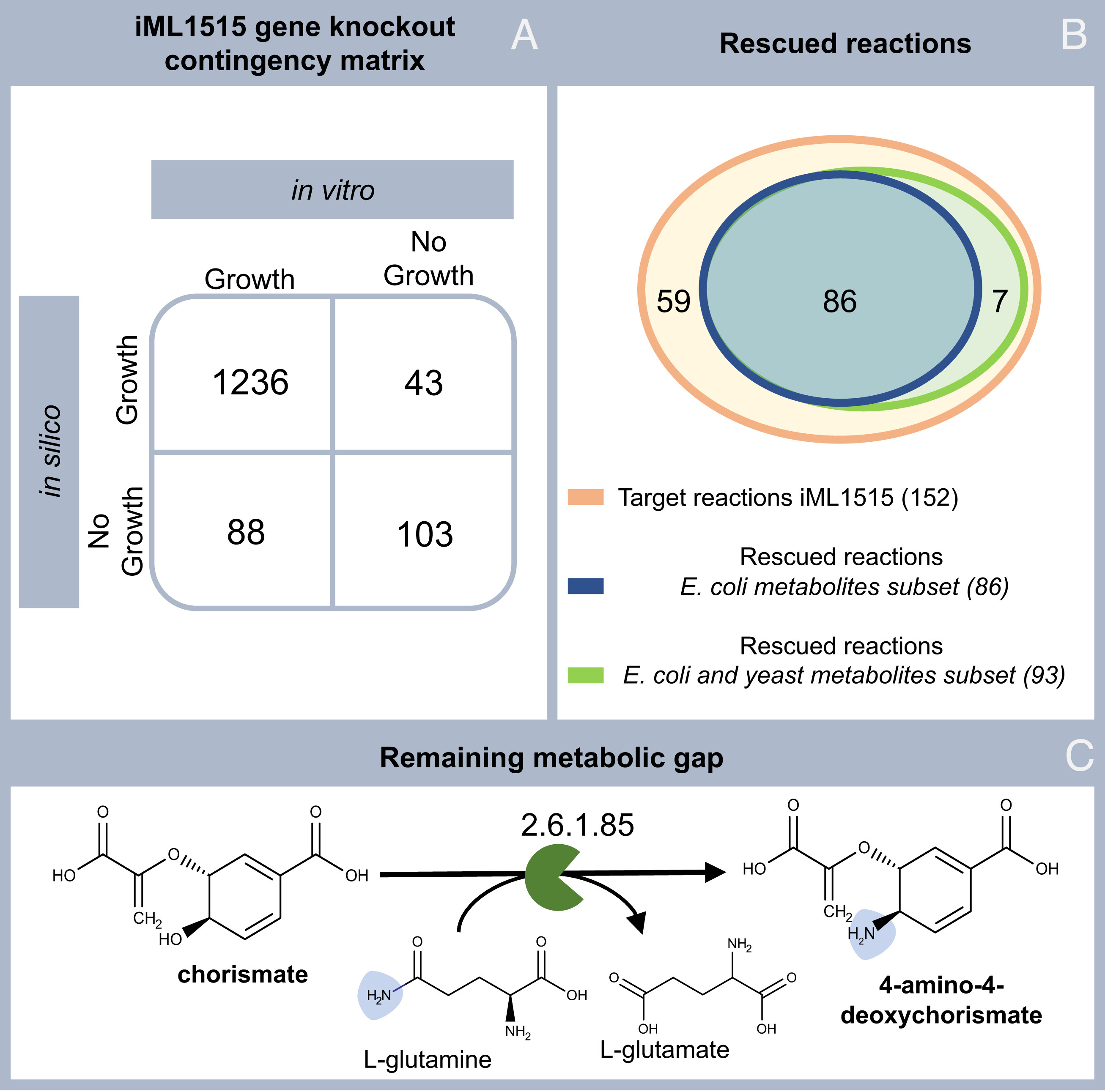 Graphical abstract of the publication entitled A workflow for annotating the knowledge gaps in metabolic reconstructions using known and hypothetical reactions