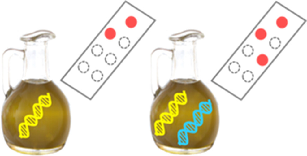 Graphical abstract of the publication entitled 'Screening Method for the Visual Discrimination of Olive Oil from Other Vegetable Oils by a Multispecies DNA Sensor'
