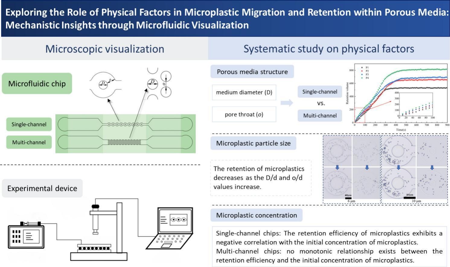Graphical abstract of the publication entitled 'Exploring the role of physical factors in microplastic migration and retention within porous media: Mechanistic insights through microfluidic visualization'