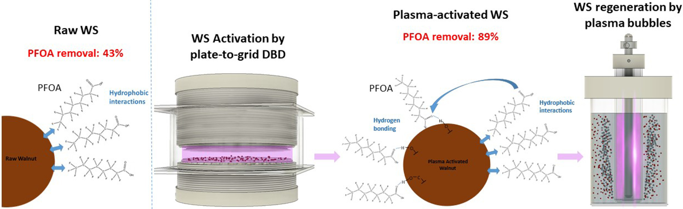 Graphical abstract of the publication entitled Dielectric barrier discharge plasma activation and plasma bubble regeneration of biosorbents for perfluorooctanoic acid removal from water