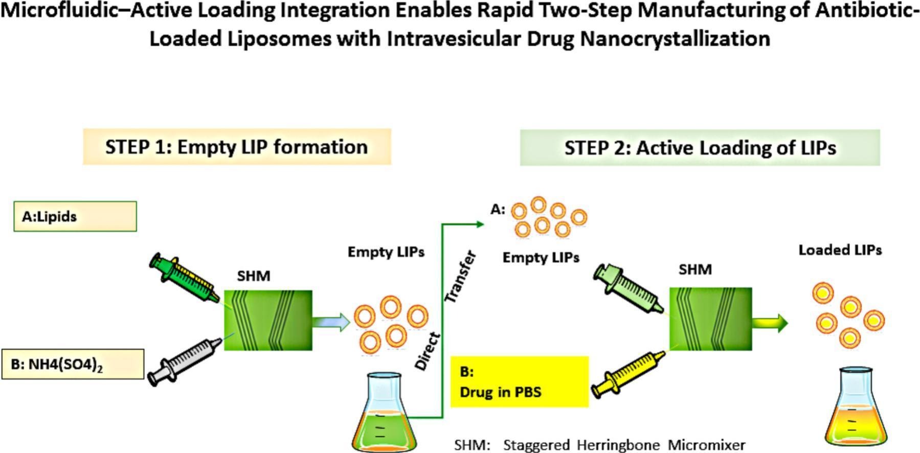 Graphical abstract of the publication entitled  Microfluidic–active loading integration enables rapid two-step manufacturing of antibiotic-loaded liposomes with intravesicular drug nanocrystallization   