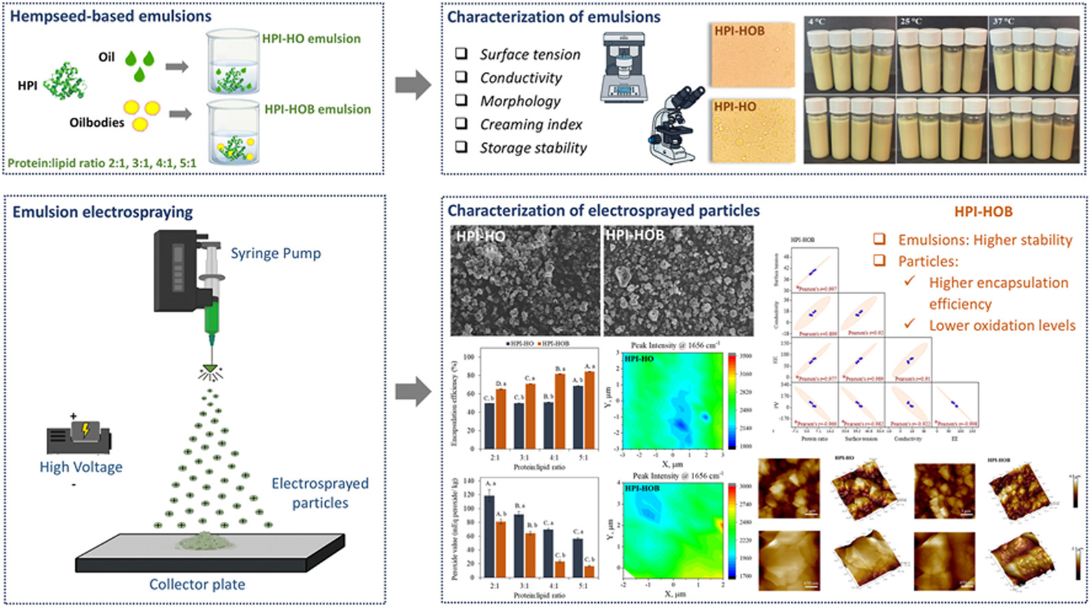 Graphical abstract of the publication entitled  Electrosprayed hempseed protein/oilbody emulsions for encapsulation and oxidative stabilization of PUFA-rich oils   