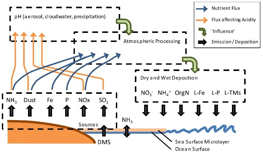 Atmospheric acidity impacts oceanic ecology